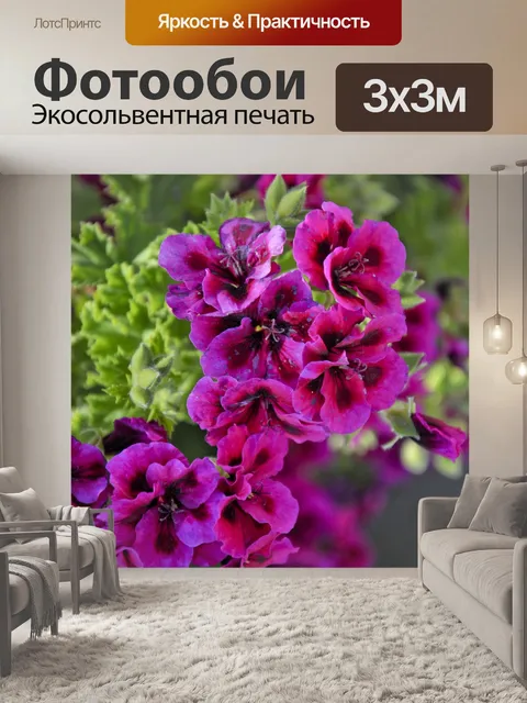 Фотообои Вертикальные герани Цветы