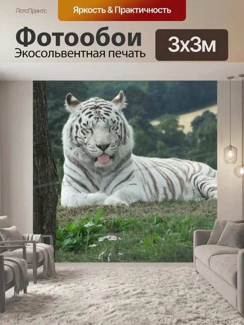 Фотообои Тигр белый
