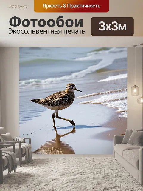 Фотообои птица, идущая по мокрому песку пляжа, с отражениями в воде