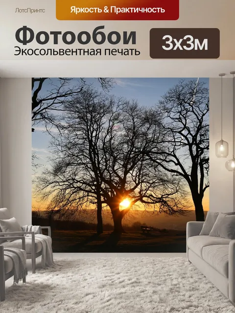 Фотообои Заход солнца