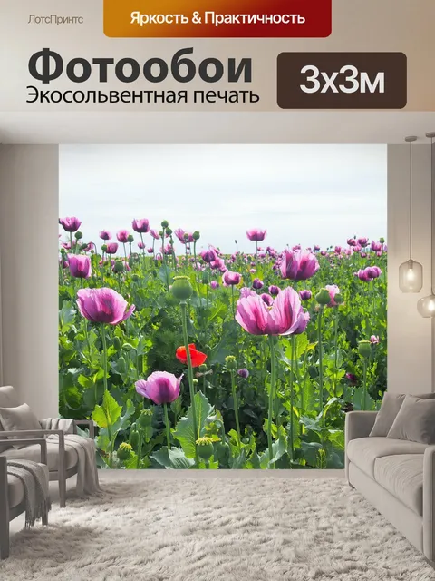 Фотообои Маковое поле
