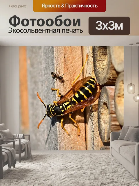 Фотообои Природа