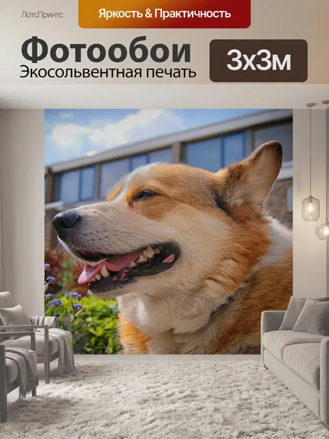 Фотообои Вельш корги