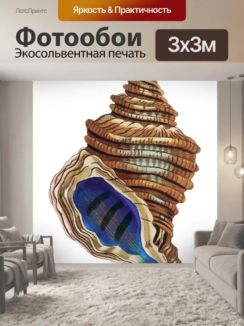 Фотообои Раковина улитка винтажное искусство