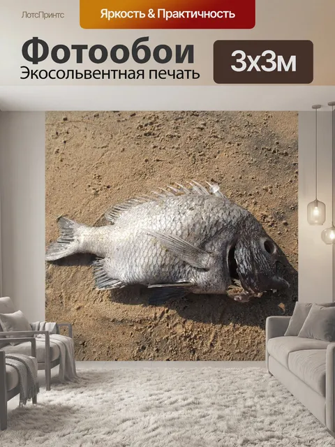 Фотообои Пляж