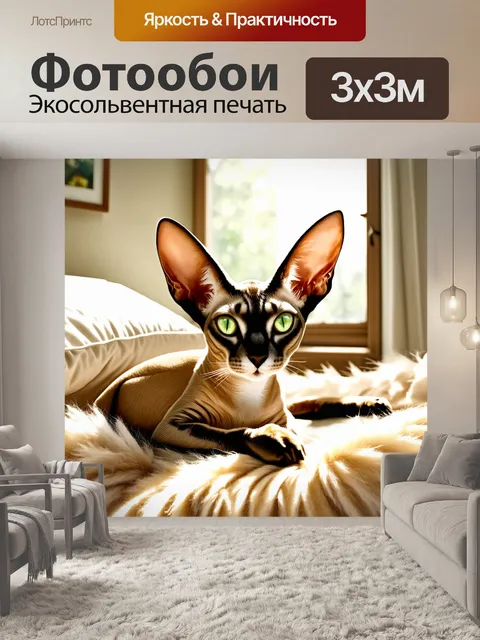 Фотообои восходящее солнце заливает комнату мягким светом