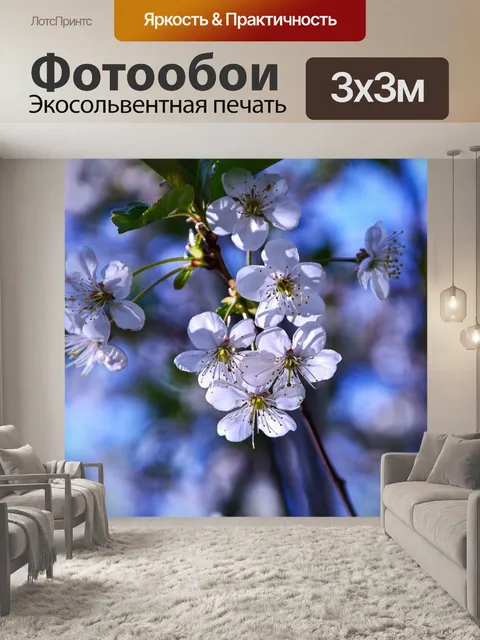 Фотообои Вишня в цвету