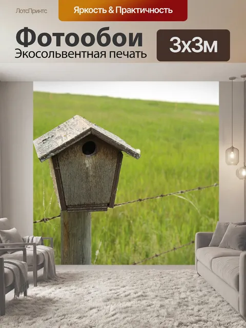 Фотообои Скворечник Браун Сообщение Колючая прово
