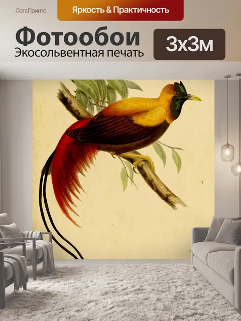Фотообои Райская птица Винтаж