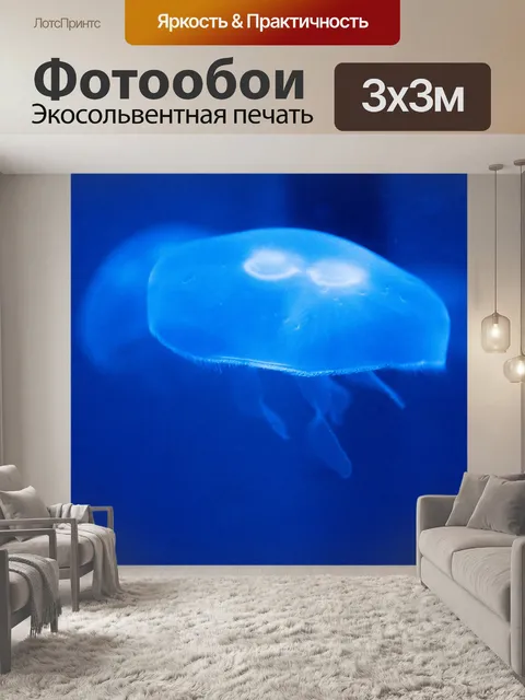 Фотообои медуза