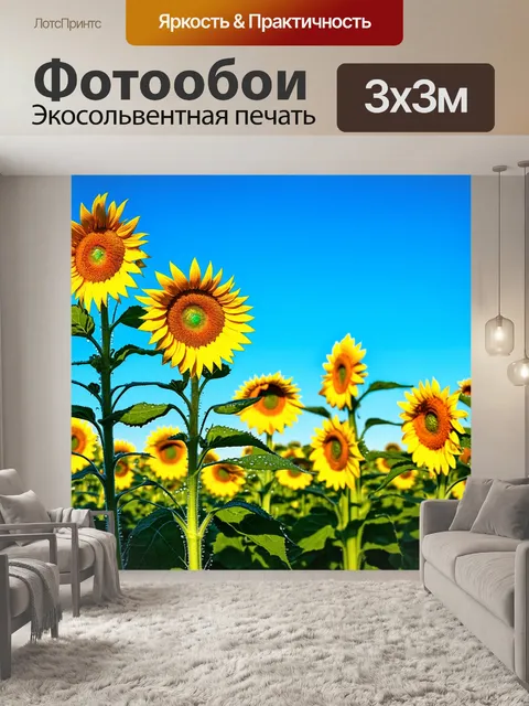 Фотообои поле с цветущими подсолнухами, умытыми утренней росой, на фоне яркого голубого неба