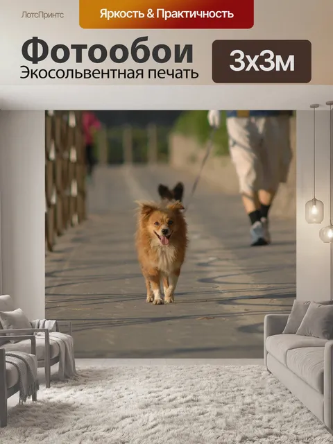 Фотообои Щенок