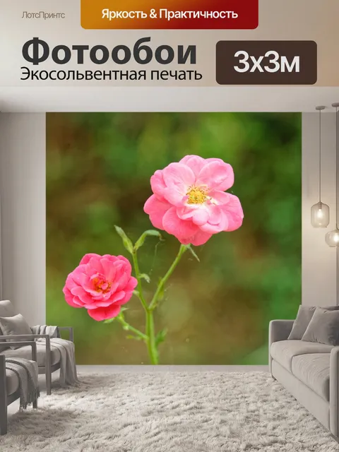 Фотообои Роза на стебле