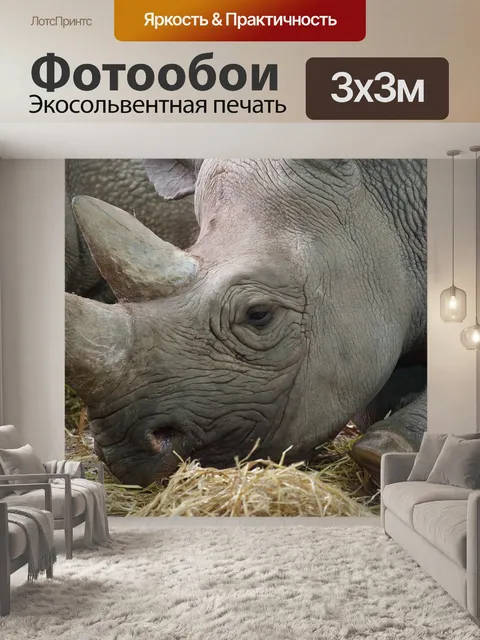 Фотообои Африка