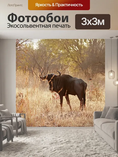 Фотообои синий гну в лучах утреннего солнца