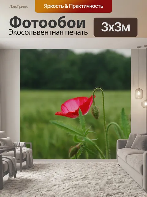Фотообои Полевой мак