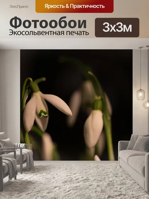 Фотообои Подснежник