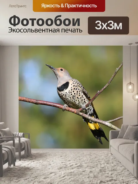 Фотообои Мерцание