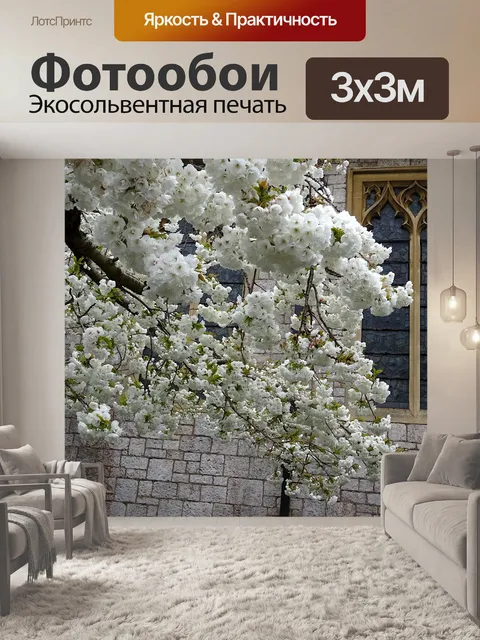 Фотообои Белое цветущее вишневое дерево