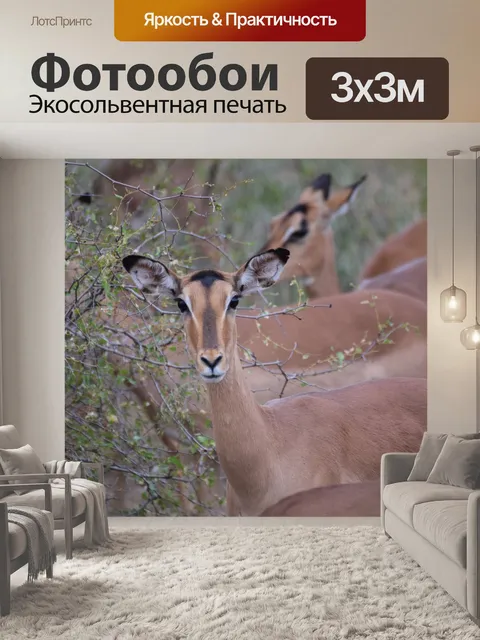 Фотообои Игровой драйв