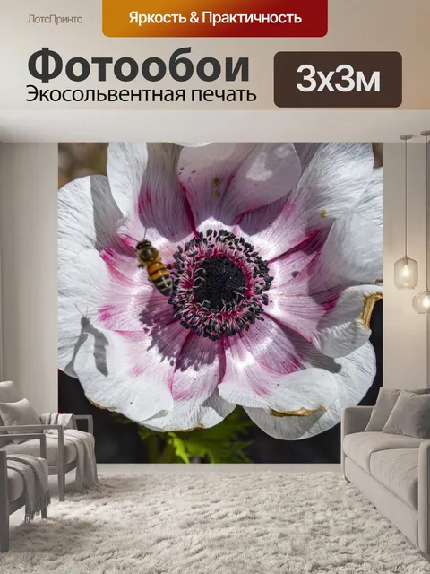 Фотообои мак анемон и пчела