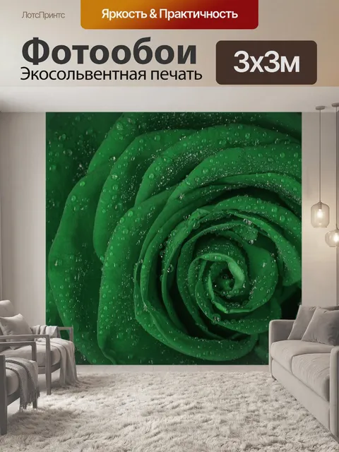 Фотообои Цветок розы