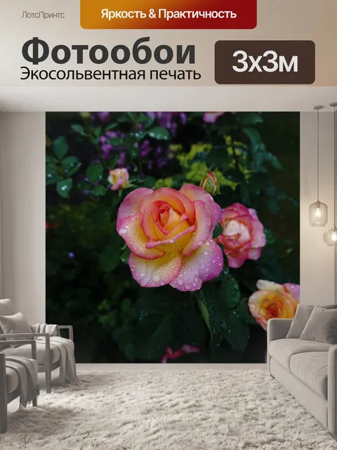 Фотообои Розы