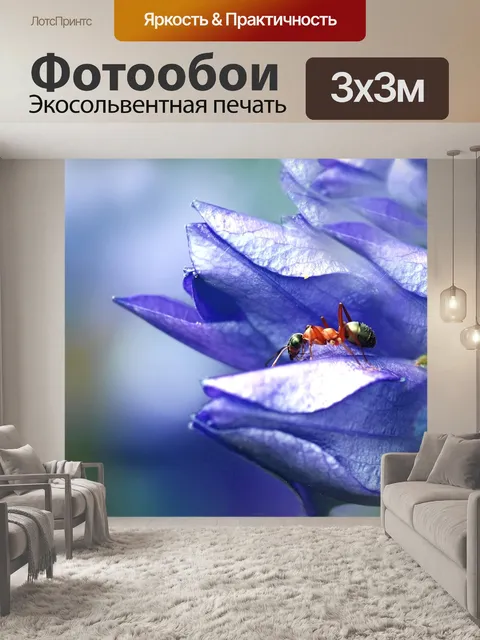 Фотообои Муравей в фиолетовый