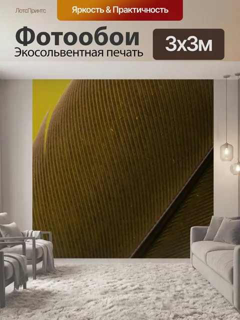 Фотообои Перо