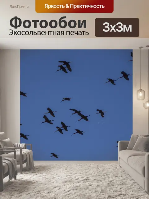 Фотообои Ибис птицы