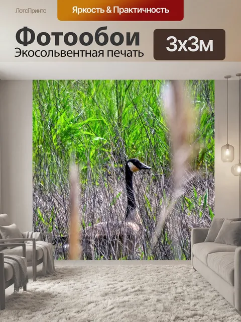 Фотообои Канадский