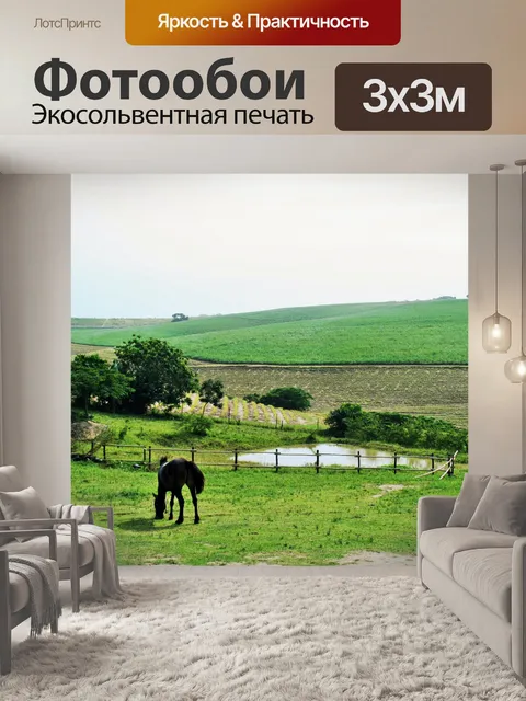 Фотообои Лошадь выпас