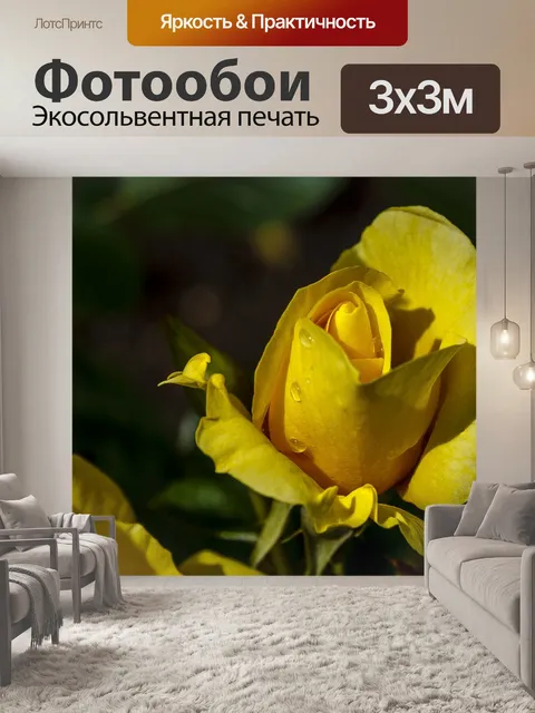 Фотообои Желтая роза