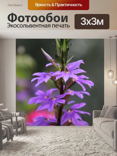 Фотообои Цветы