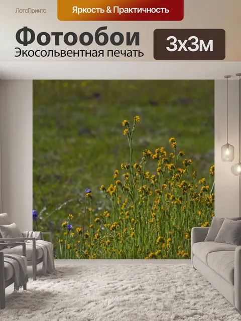 Фотообои Полевые цветы