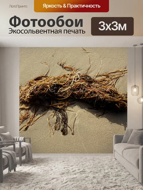 Фотообои Морские водоросли на пляже