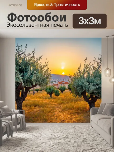 Фотообои крым: пейзаж с оливковыми деревьями