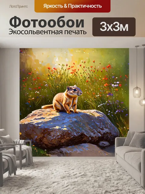 Фотообои луговая собачка, привлекательно устроившаяся на большом камне, внимательно согрета вечерним светом