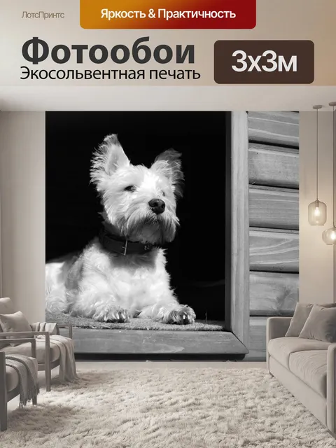 Фотообои Собака