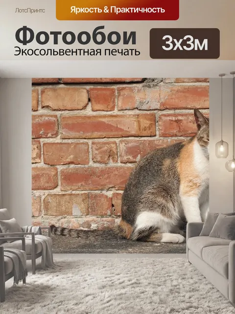 Фотообои Кошка