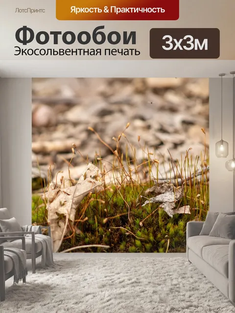 Фотообои Мох