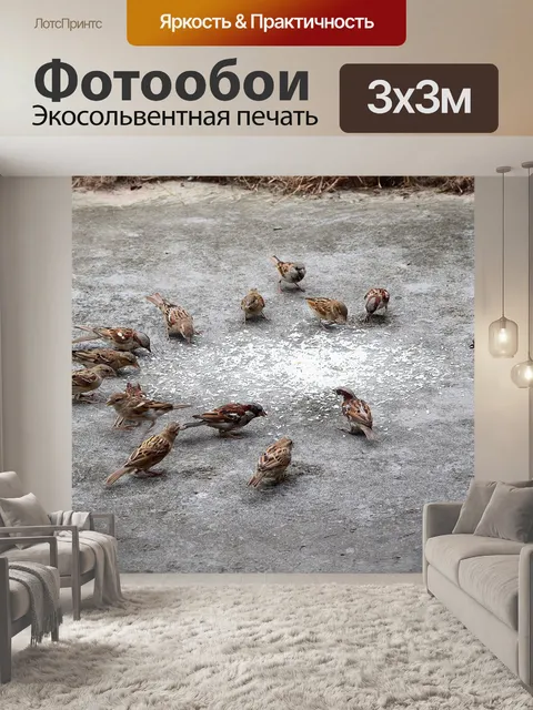 Фотообои Воробьи