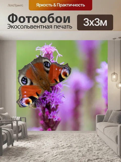 Фотообои Бабочка павлина
