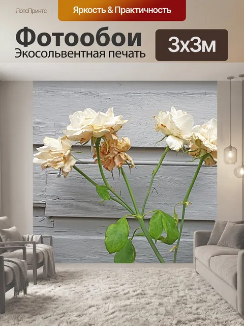 Фотообои Сухие розы
