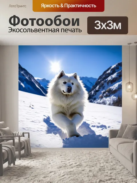 Фотообои самоед на фоне заснеженных альпийских гор, играющий в снегу с неожиданным, захватывающим выражением на лице