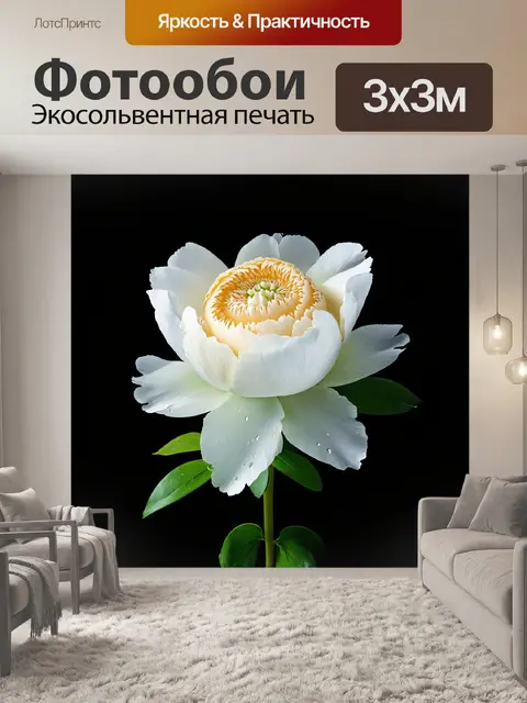 Фотообои белый цветок пион, раскрывающий свои нежные лепестки, излучает светлую ауру весны