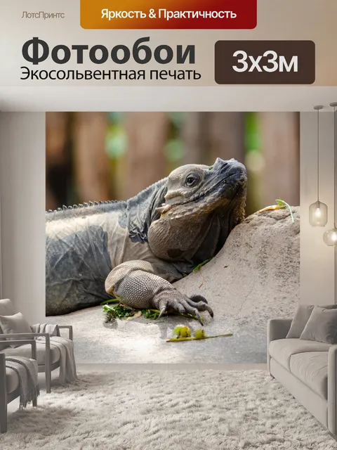 Фотообои Ла-ферм-окс crocodilles