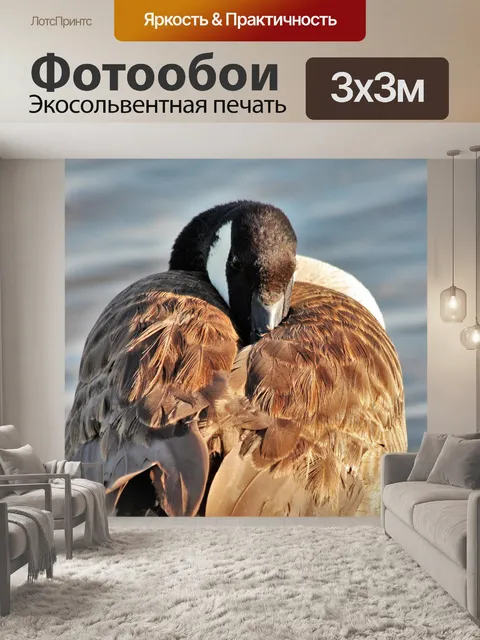 Фотообои Канада