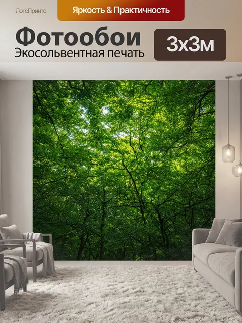 Фотообои лес с густыми зелеными деревьями, мягким светом, пробивающимся сквозь листву
