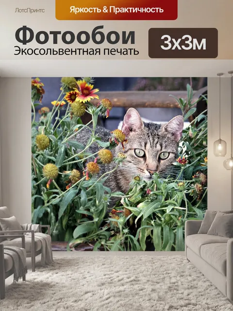 Фотообои Кот